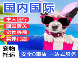 东营胜利机场空运国际宠物托运 【国